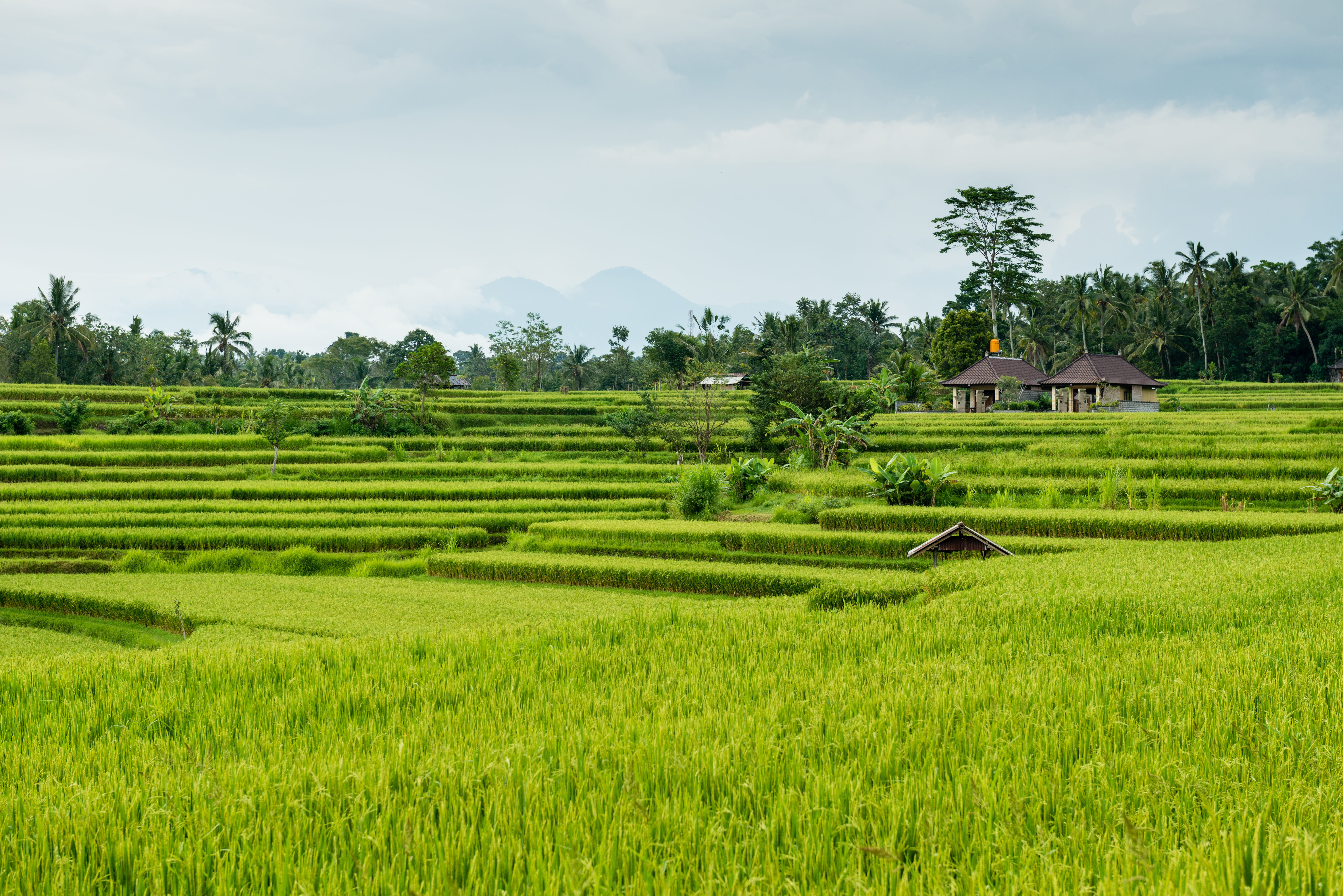 Visual modern Desa Bade 1